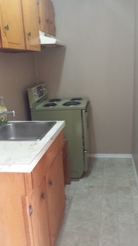 Travellers Rest Motel Salmon Arm Eksteriør billede